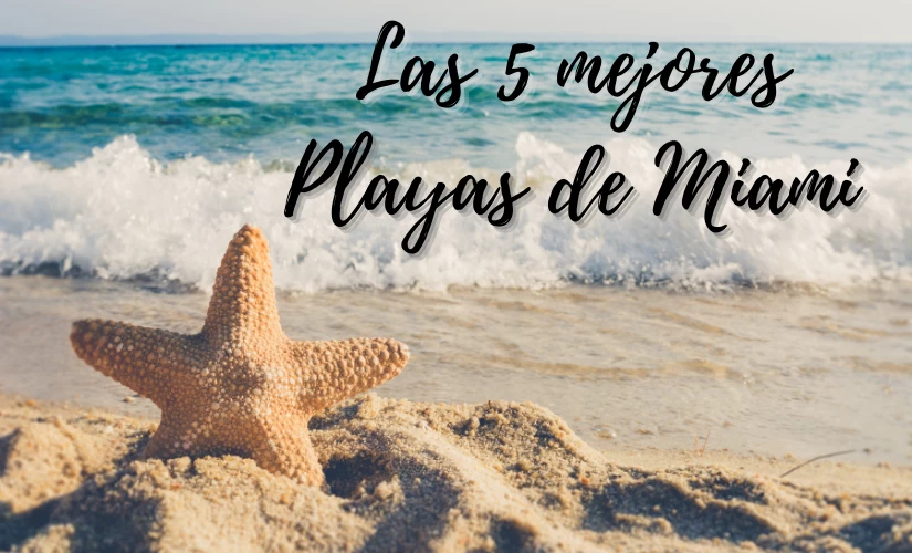 ▷ Las 5 mejores playas de Miami